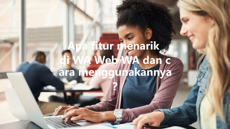Apa fitur menarik di WA Web WA dan cara menggunakannya? 三