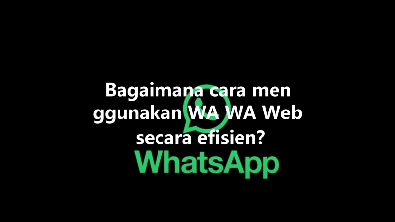 Bagaimana cara menggunakan WA WA Web secara efisien? 三