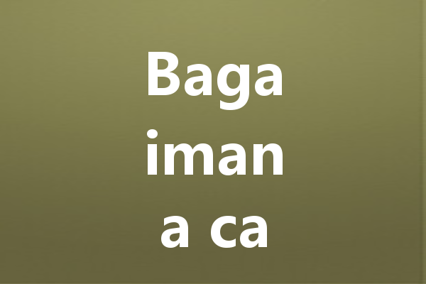 Bagaimana cara menjaga keamanan obrolan di WA Web? 三