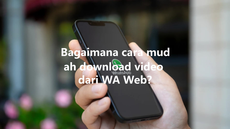 Bagaimana cara mudah download video dari WA Web? 三